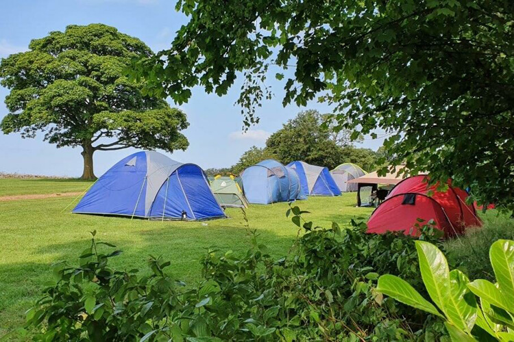 Morton Hall Caravan and Camping Park - Image 1 - UK Tourism Online