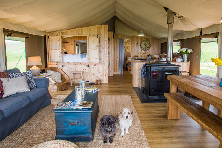 Catchpenny Safari Lodges - Image 2 - UK Tourism Online