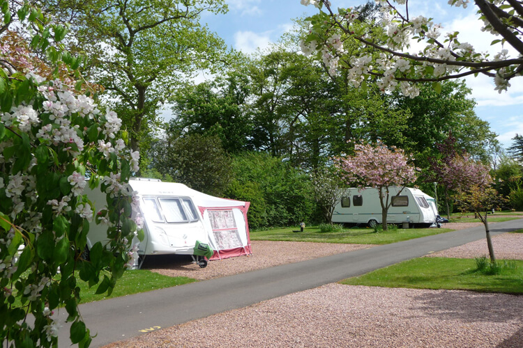 Craigtoun Meadows Holiday Park - Image 3 - UK Tourism Online