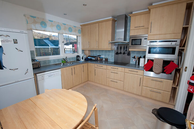 Seagulls Ullapool - Image 2 - UK Tourism Online