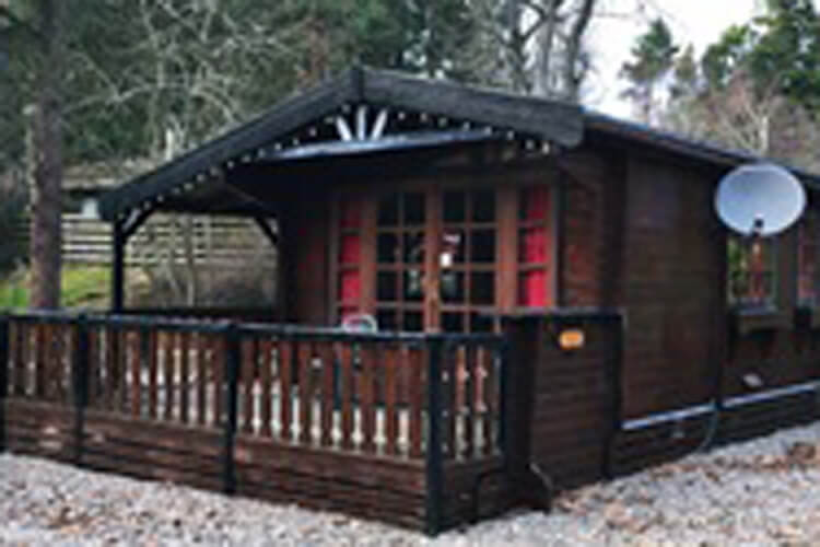 Lurchers Cabin - Image 1 - UK Tourism Online