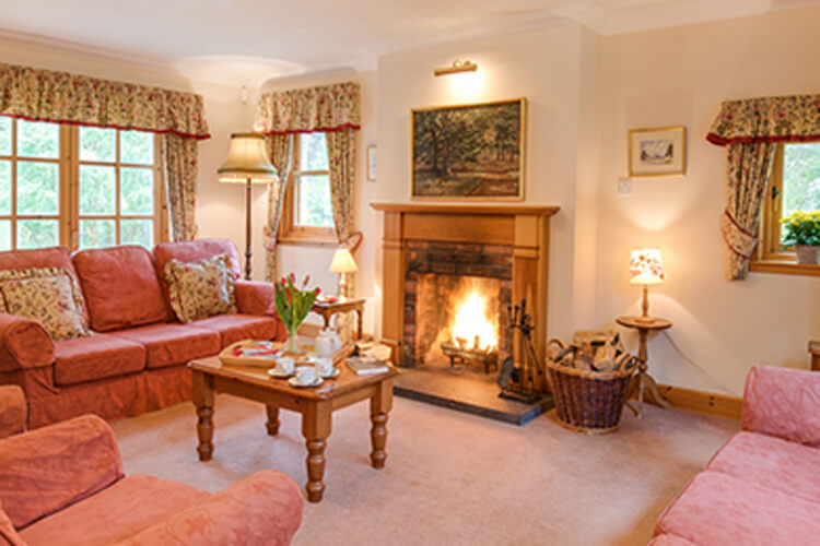 Rymore Wood Lodge - Image 2 - UK Tourism Online