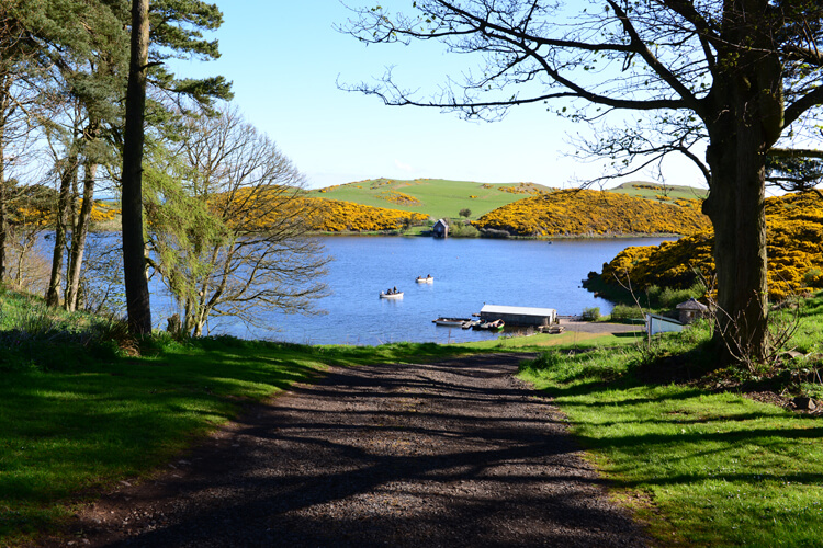 Coldingham Loch Fly Fishery & Holiday Cottages - Image 2 - UK Tourism Online