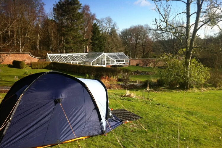 Ruberslaw Wild Woods Camping - Image 2 - UK Tourism Online