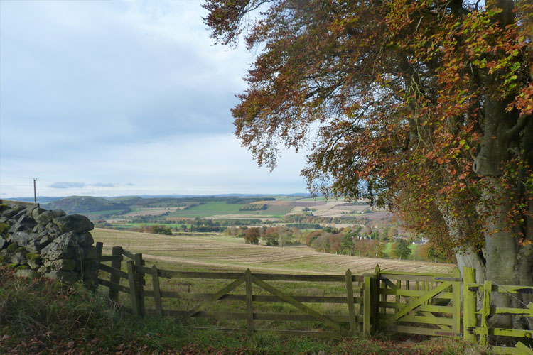 The Granary Holiday Cottage - Image 5 - UK Tourism Online