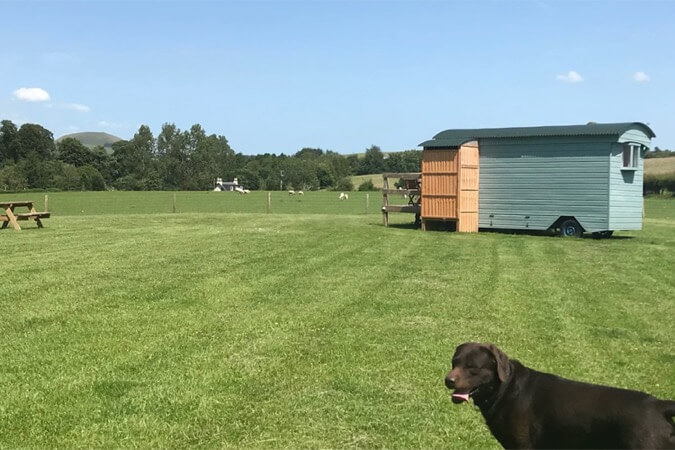 Westcote Glamping Thumbnail | Hawick - Scottish Borders | UK Tourism Online