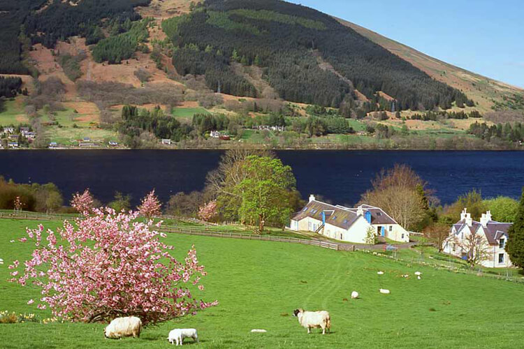 Glen Dochart Holiday Park - Image 1 - UK Tourism Online