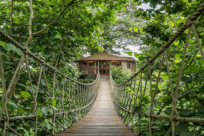 Bensfield Treehouse Thumbnail | Wadhurst - East Sussex | UK Tourism Online
