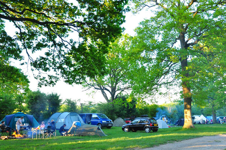 St Ives Farm Campsite - Image 1 - UK Tourism Online