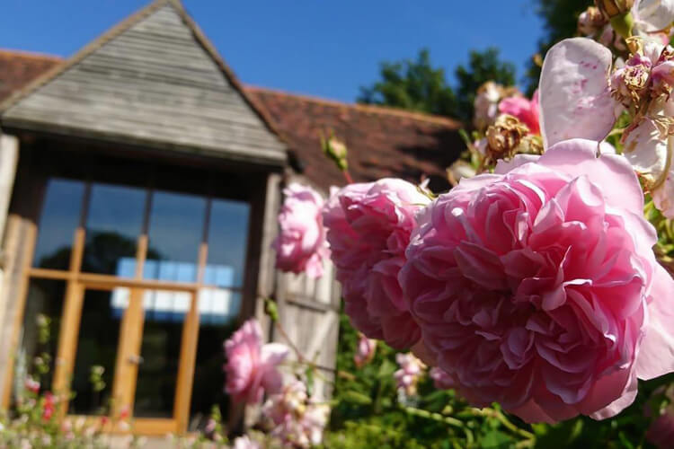 Alfriston Gardens - Image 1 - UK Tourism Online