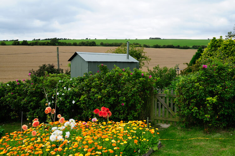 The Shepherd's Hut - Image 5 - UK Tourism Online