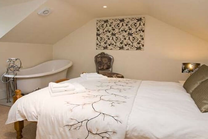 Whitburn Lodge Guesthouse Thumbnail | Brighton - East Sussex | UK Tourism Online