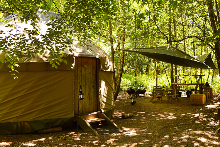 Adhurst Yurts on Adhurst Estate - Image 1 - UK Tourism Online