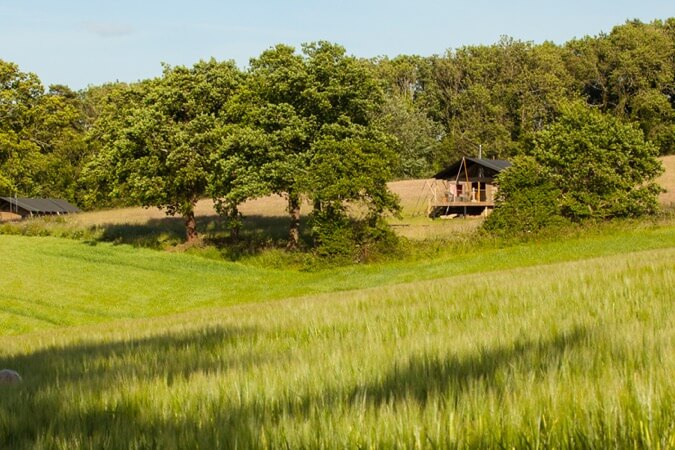 Brocklands Farm Glamping Holidays Thumbnail | Petersfield - Hampshire | UK Tourism Online