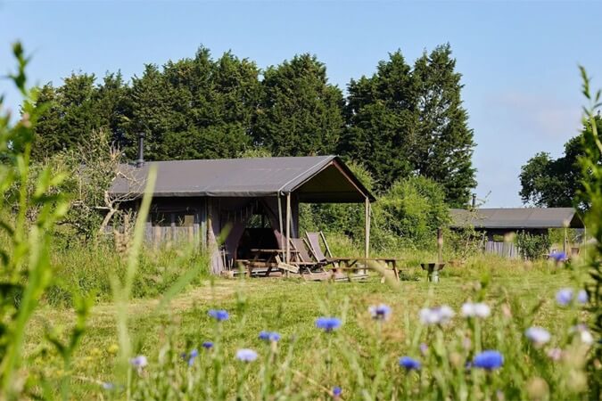 Feather Down - Manor Farm Thumbnail | Alton - Hampshire | UK Tourism Online