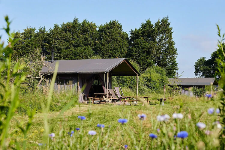 Feather Down - Manor Farm - Image 1 - UK Tourism Online