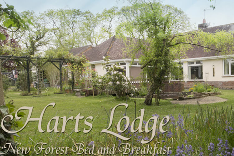 Harts Lodge - Image 1 - UK Tourism Online