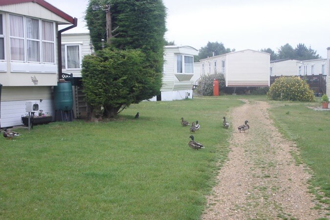 Kingfisher Caravan Park Holiday Homes Thumbnail | Gosport - Hampshire | UK Tourism Online