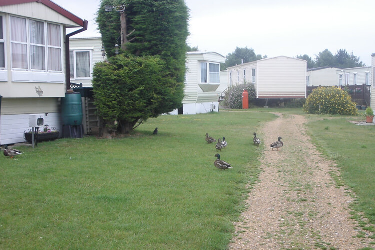 Kingfisher Caravan Park Holiday Homes - Image 1 - UK Tourism Online