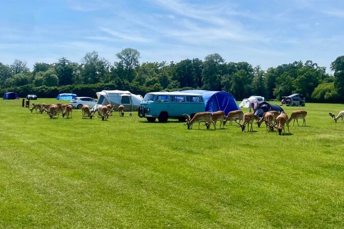 Long Meadow Campsite Thumbnail | Brockenhurst - Hampshire | UK Tourism Online