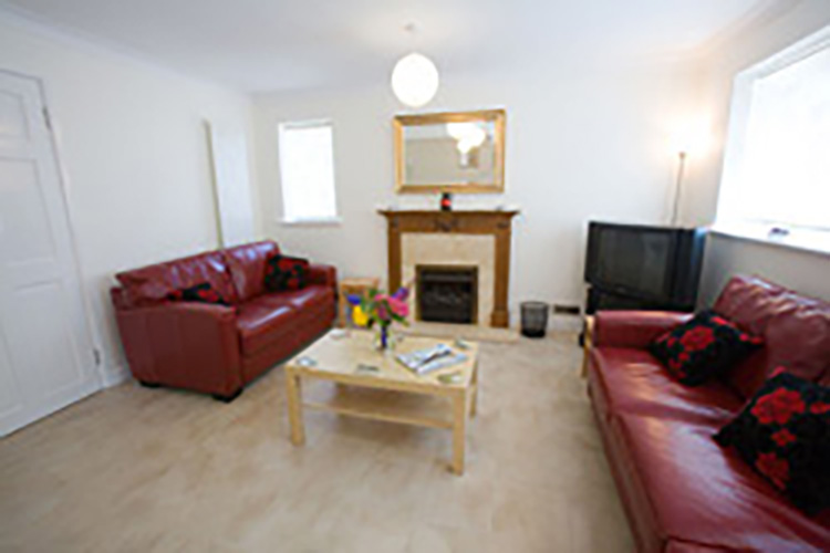 Self Catering New Forest - Image 2 - UK Tourism Online