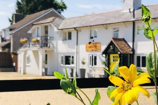 The Cottage Lodge Hotel Thumbnail | Brockenhurst - Hampshire | UK Tourism Online