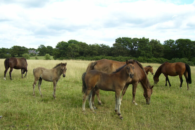 The Old Stables - Image 4 - UK Tourism Online