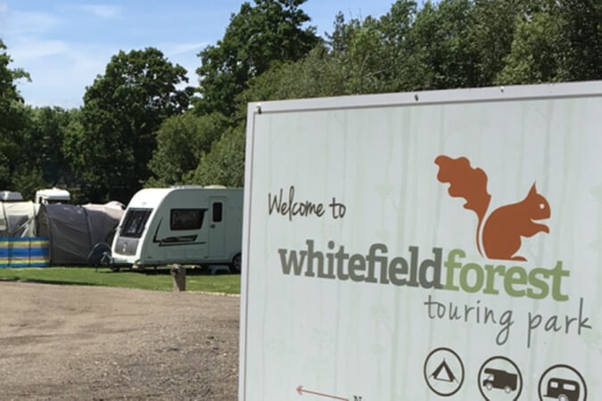 Whitefield Forest Touring Park Thumbnail | Ryde - Isle of Wight | UK Tourism Online