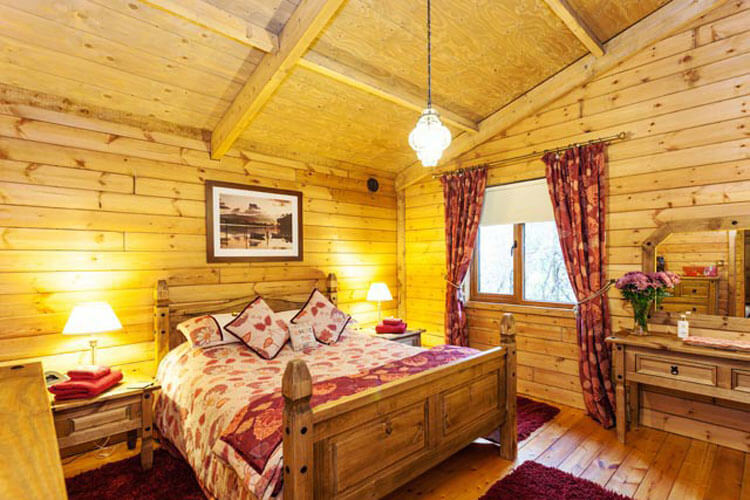 Honey Lodge & Treehouse Hideaway - Image 5 - UK Tourism Online