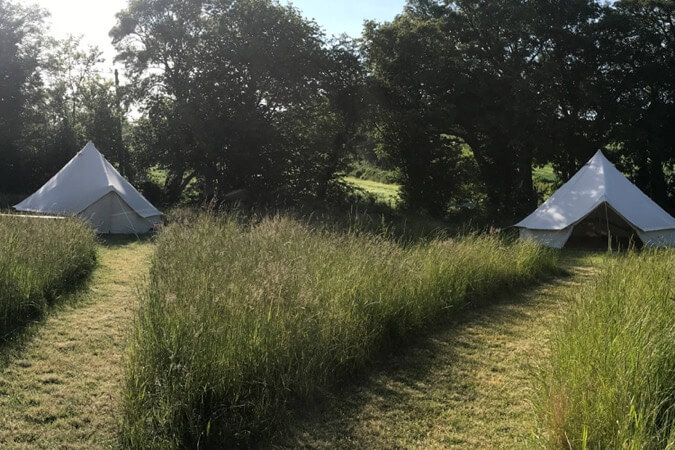 Sunny Field Campsite Thumbnail | Canterbury - Kent | UK Tourism Online