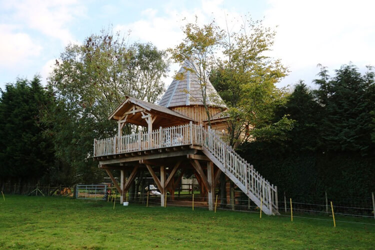 The Lodge Tree House - Image 1 - UK Tourism Online