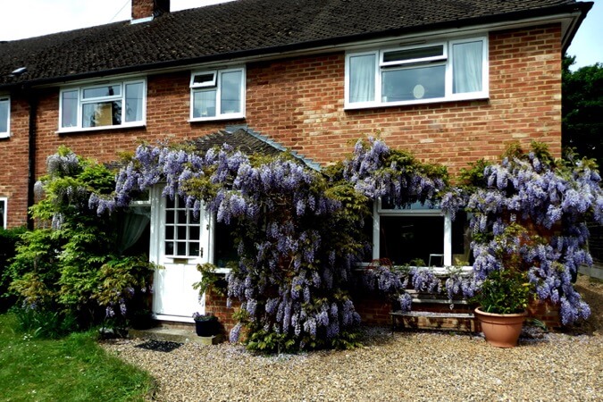 Upthedowns Bed and Breakfast Thumbnail | Sevenoaks - Kent | UK Tourism Online