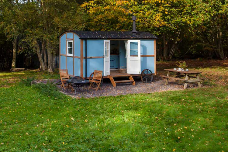 Wild Woodland Retreat - Image 1 - UK Tourism Online