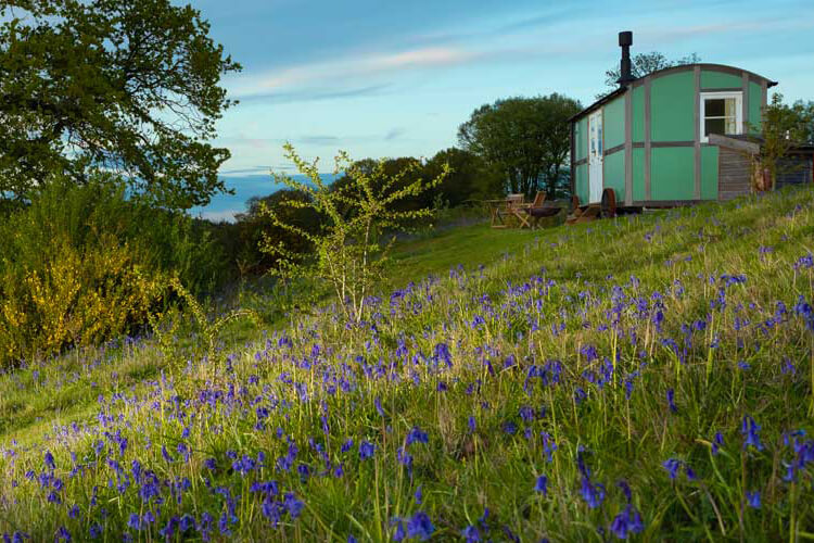 Wild Woodland Retreat - Image 2 - UK Tourism Online