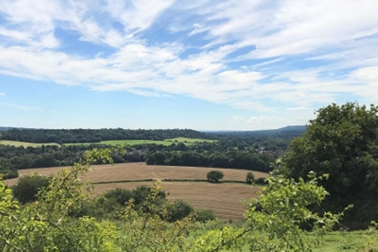 Chantry Wood campsite - Image 2 - UK Tourism Online