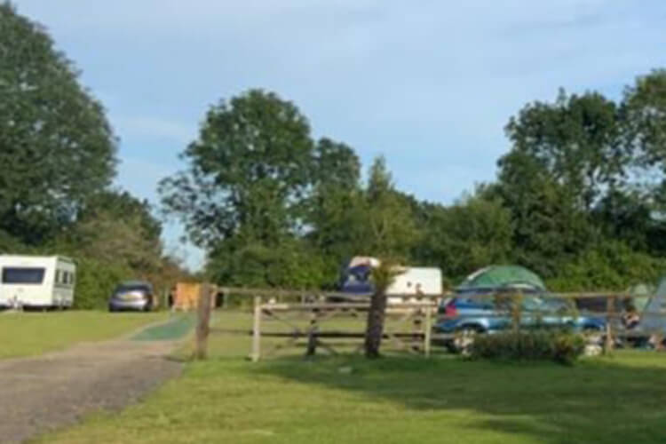 Sussex Topiary Campsite - Image 1 - UK Tourism Online