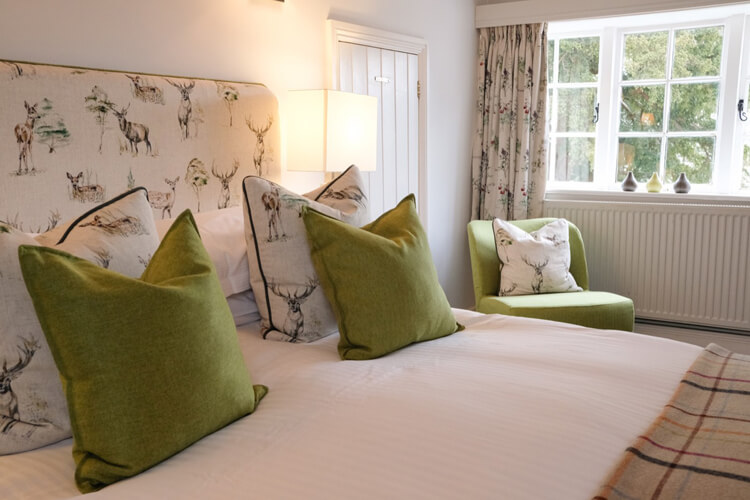 The Cat Inn - Image 2 - UK Tourism Online