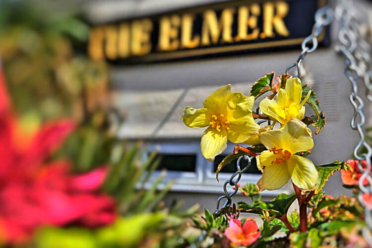 The Elmer Hotel - Image 5 - UK Tourism Online