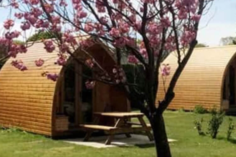 Wicks Farm Camping Park - Image 2 - UK Tourism Online