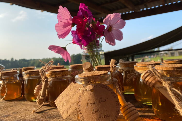 Woodfire Camping - Image 3 - UK Tourism Online