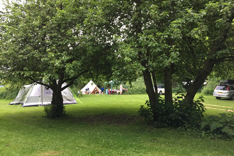 The Blackberries Camping Park - Image 3 - UK Tourism Online