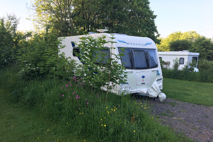 The Blackberries Camping Park - Image 4 - UK Tourism Online