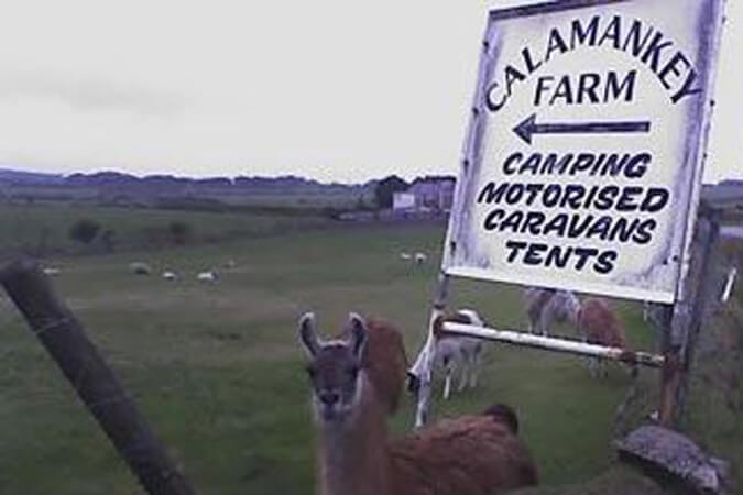 Calamankey Farm Thumbnail | Falmouth - Cornwall | UK Tourism Online