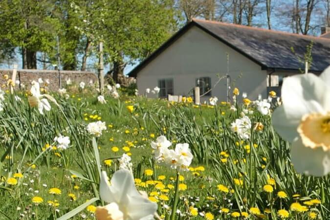 Tamar Valley Cottages Thumbnail | Bude - Cornwall | UK Tourism Online