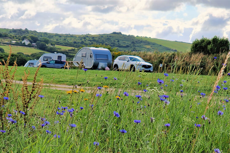 The Camping Field - Image 1 - UK Tourism Online