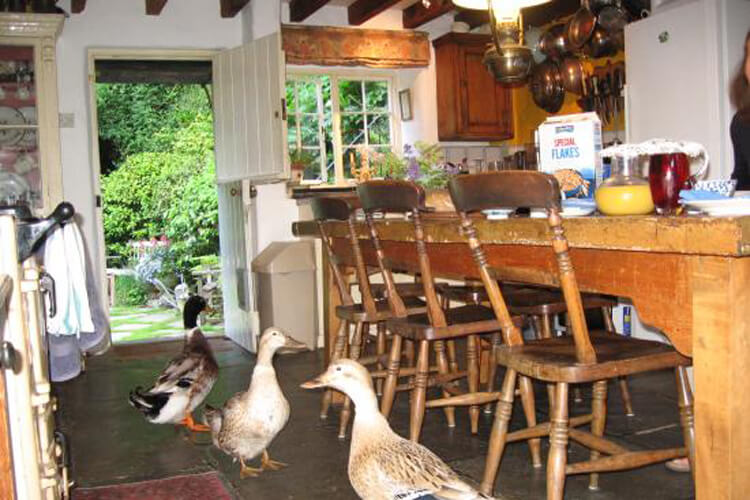 The Corn Mill - Image 1 - UK Tourism Online