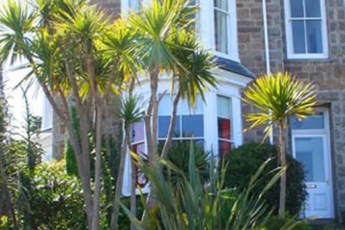 The Organic Panda Thumbnail | St Ives - Cornwall | UK Tourism Online