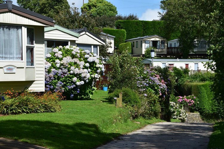 Trewince Farm Holiday Park - Image 3 - UK Tourism Online