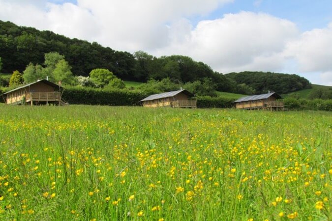 Western Meadows Glamping Thumbnail | Launceston - Cornwall | UK Tourism Online