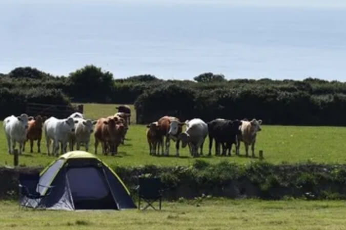 Wideacres Camping Thumbnail | Boscastle - Cornwall | UK Tourism Online